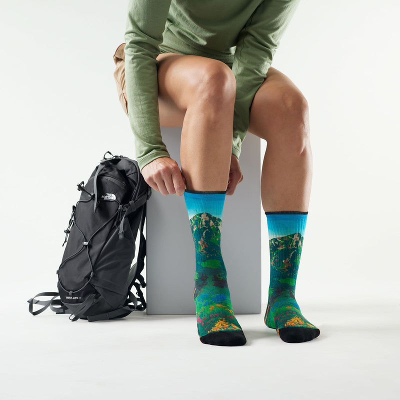 Load image into Gallery viewer, Smartwool Women’s Hike Targeted Cushion Mountain Lake Print Crew Socks
