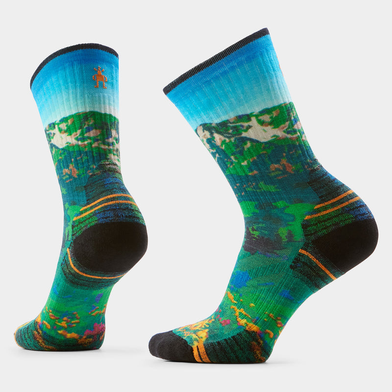 Load image into Gallery viewer, Smartwool Women’s Hike Targeted Cushion Mountain Lake Print Crew Socks
