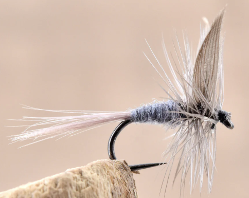 Mayfly Dry Flies