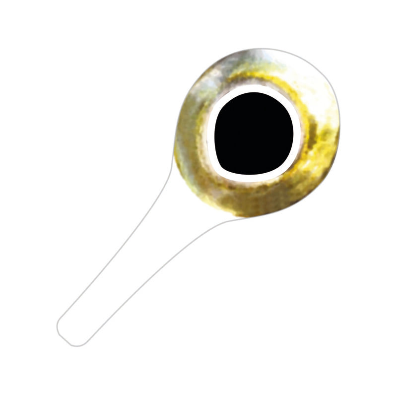 Load image into Gallery viewer, Pro Sportfisher Pro 3D Tabbed Eyes
