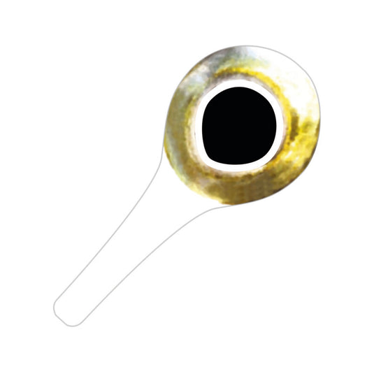 Pro Sportfisher Pro 3D Tabbed Eyes