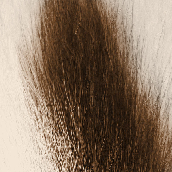 Load image into Gallery viewer, Shor Bucktail Large  (Shipping only in Canada)
