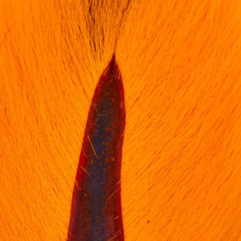 Load image into Gallery viewer, Shor Bucktail Large  (Shipping only in Canada)
