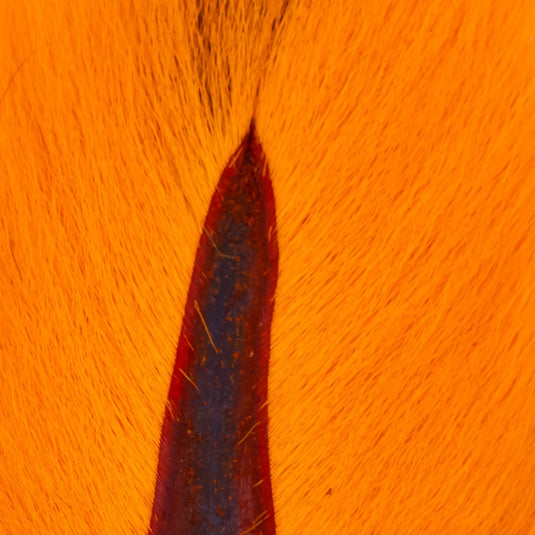 Shor Bucktail Large  (Shipping only in Canada)