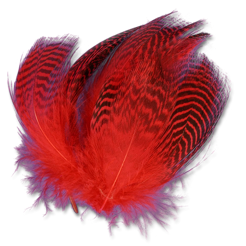 Load image into Gallery viewer, Shor Teal Duck Flank [Shipping in Canada Only]
