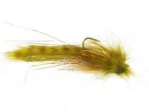 Catch Flies - Austin’s Bottom Scratcher