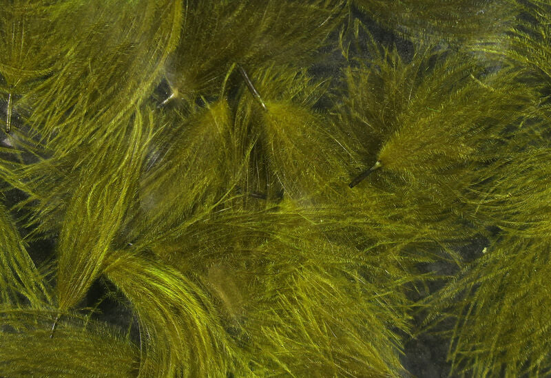 Load image into Gallery viewer, Hareline CDC Oiler Puffs
