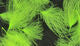 Load image into Gallery viewer, Hareline CDC Oiler Puffs
