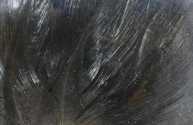 Load image into Gallery viewer, Hareline Coq De Leon
