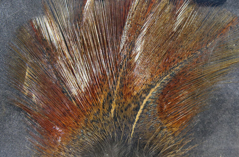 Load image into Gallery viewer, Hareline Coq De Leon
