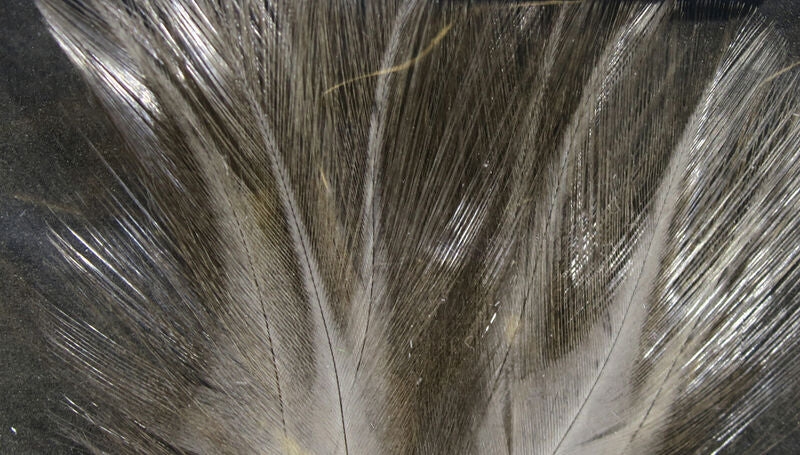 Load image into Gallery viewer, Hareline Coq De Leon

