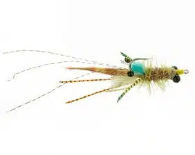Catch Flies - Coughlin’s Grand Slam Bug