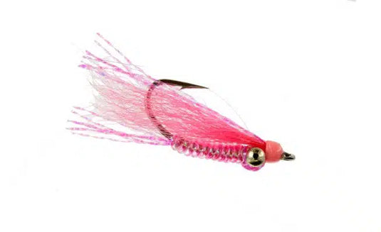 Catch Flies - Crazy Charlie