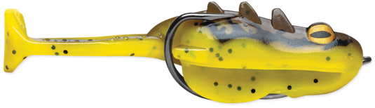 Storm Surge Frog