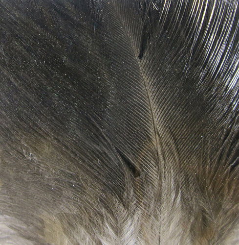 Hareline Gallo De Leon Saddle Feathers