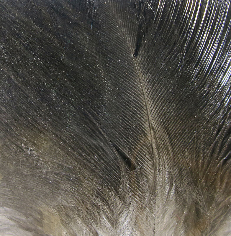 Load image into Gallery viewer, Hareline Gallo De Leon Saddle Feathers
