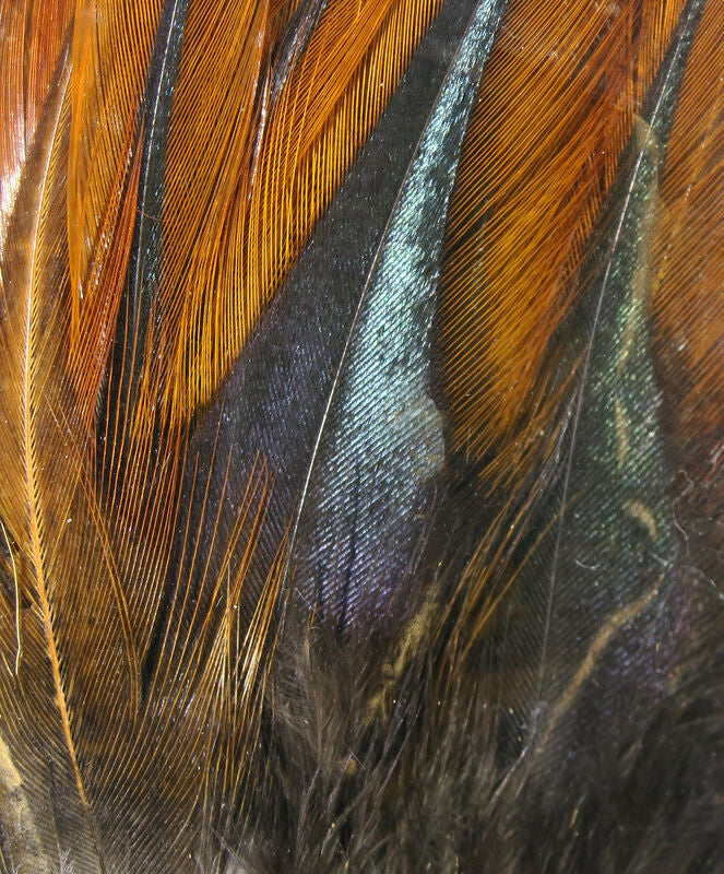 Load image into Gallery viewer, Hareline Gallo De Leon Saddle Feathers
