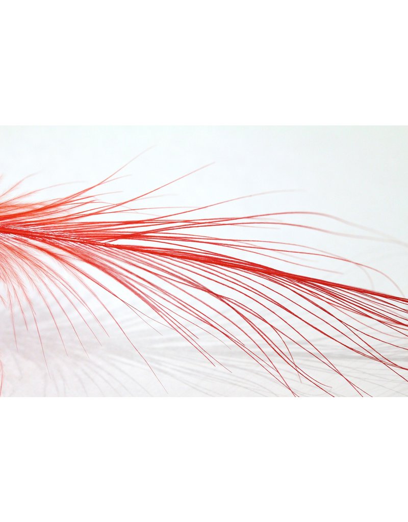 Load image into Gallery viewer, Gaspe Fly Co. - Plumes Spey XL/XXL
