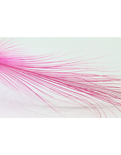 Gaspe Fly Co. - Plumes Spey XL/XXL