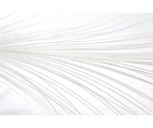 Load image into Gallery viewer, Gaspe Fly Co. - Plumes Spey XL/XXL
