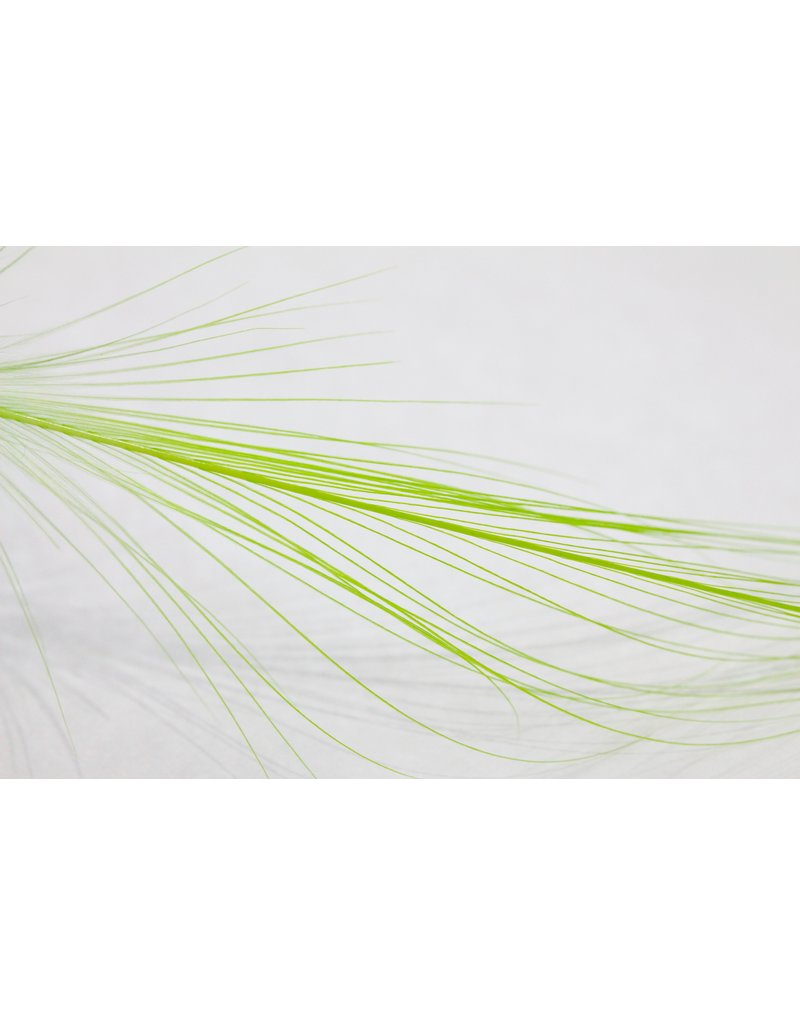 Load image into Gallery viewer, Gaspe Fly Co. - Plumes Spey XL/XXL
