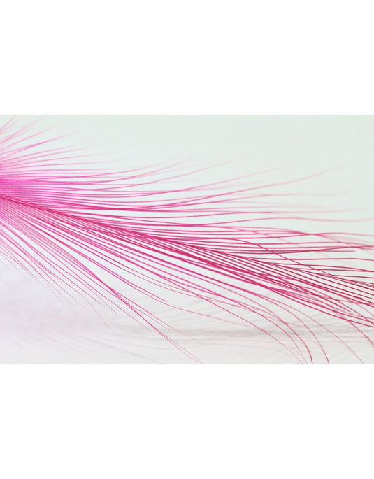 Gaspe Fly Co. - Plumes Spey L/XL