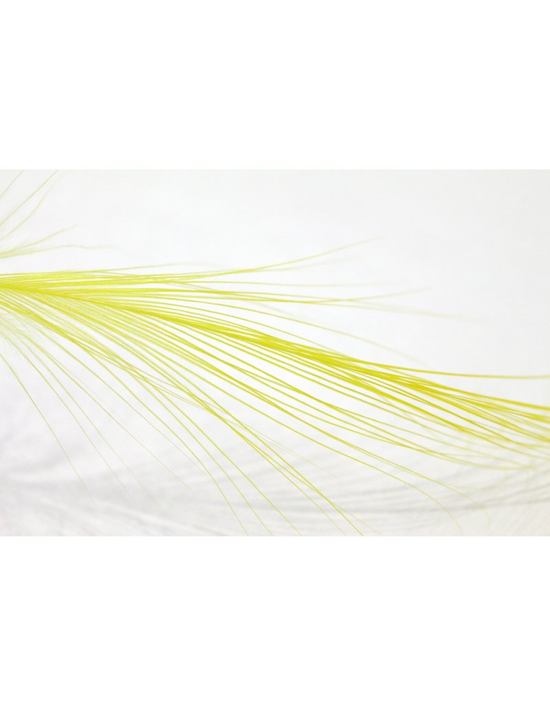 Load image into Gallery viewer, Gaspe Fly Co. - Plumes Spey XL/XXL

