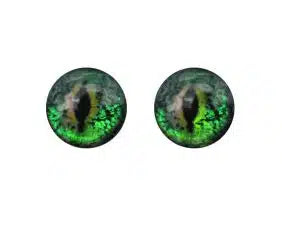 Catch Fly Fishing - Frog Eyes