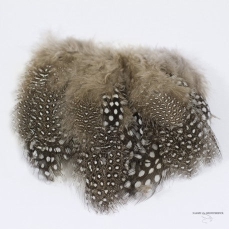 Load image into Gallery viewer, Shor Strung Guineafowl
