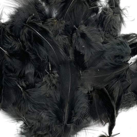 Hareline Premium Hungarian Partridge Feathers - Black
