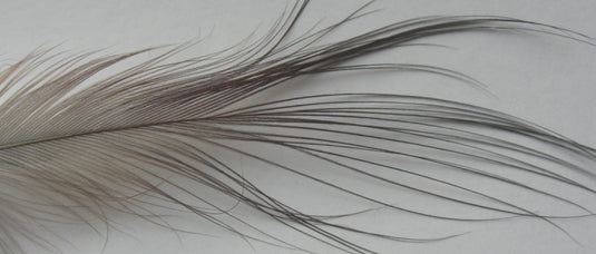 Gaspe Fly Co. - Plumes Spey XL/XXL
