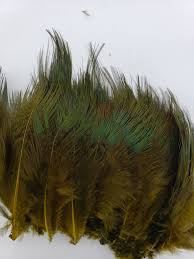 Load image into Gallery viewer, Strung Pheasant Rump
