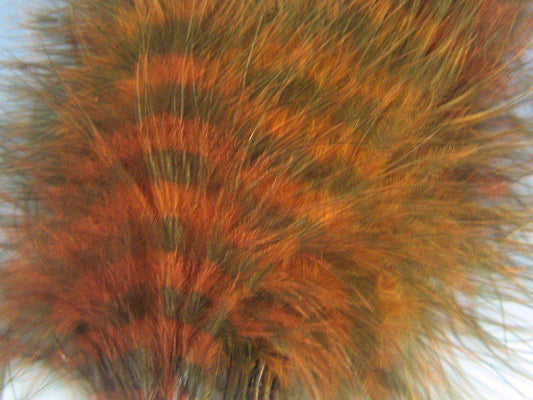 MFC Barred Marabou - Blood Quill