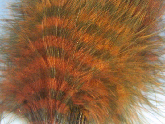 MFC Barred Marabou - Blood Quill