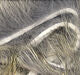 Load image into Gallery viewer, Hareline Micro Rabbit Strips
