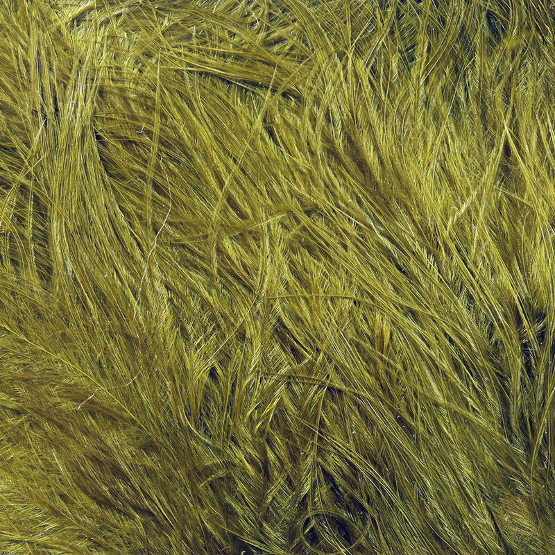 Load image into Gallery viewer, Spirit River UV2 Marabou
