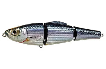 Live Target Blueback Herring