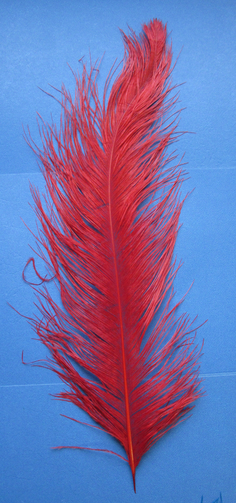 Load image into Gallery viewer, Fly Angler Ostrich Spey Plumes - Medium
