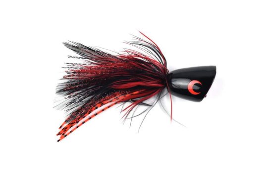 Catch Flies - Pied Popper