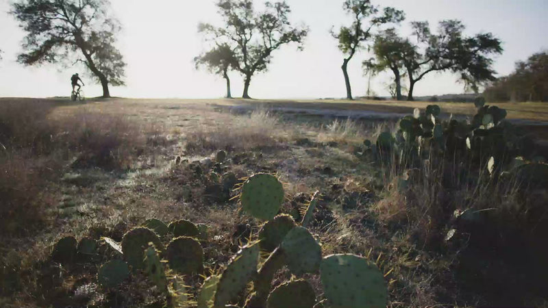Load and play video in Gallery viewer, YETI Crossroads 22L Backpack
