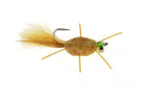 Load image into Gallery viewer, Catch Flies - Raghead Crab
