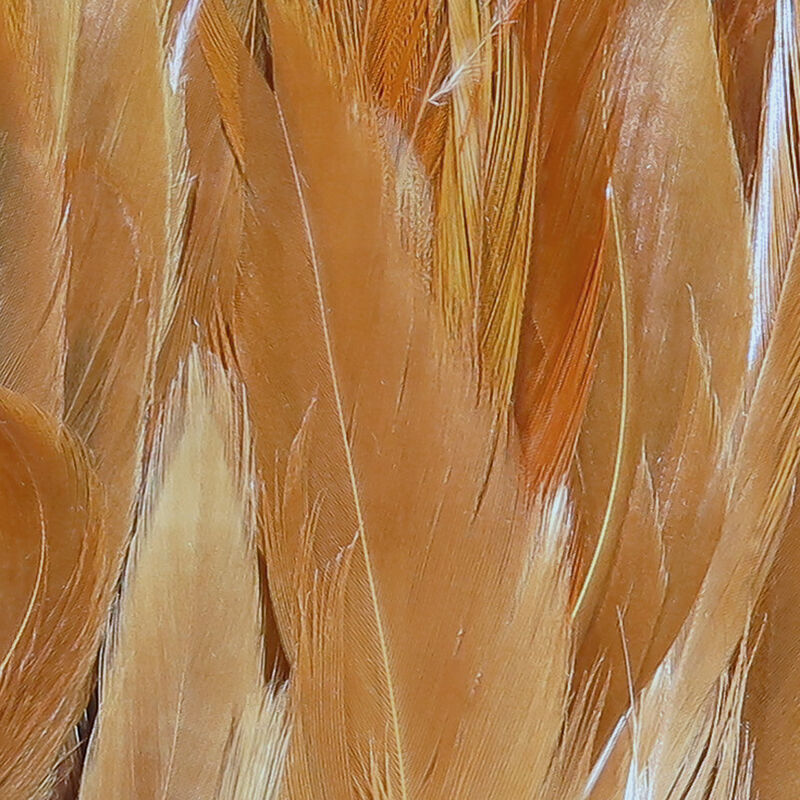 Load image into Gallery viewer, Hareline Wolly Bugger Saddle Hackle 6-7&quot;
