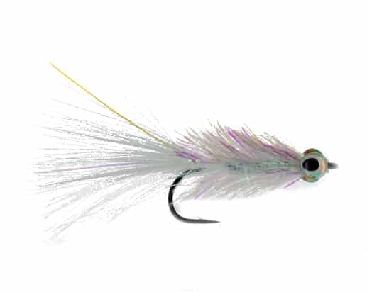 Catch Flies - Skerik’s Sugar Shaker