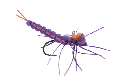 Catch Fly Fishing - Tucker’s Warioto Banshee