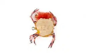 Catch Flies - Velcro Crab