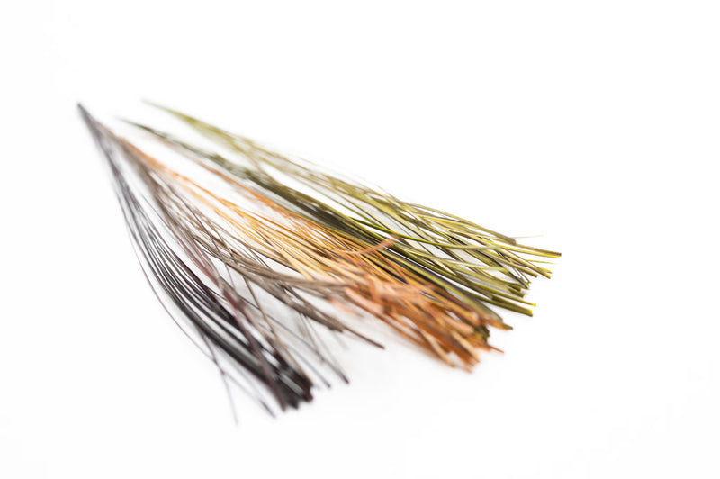 Load image into Gallery viewer, Fullingmill Stripped Quills
