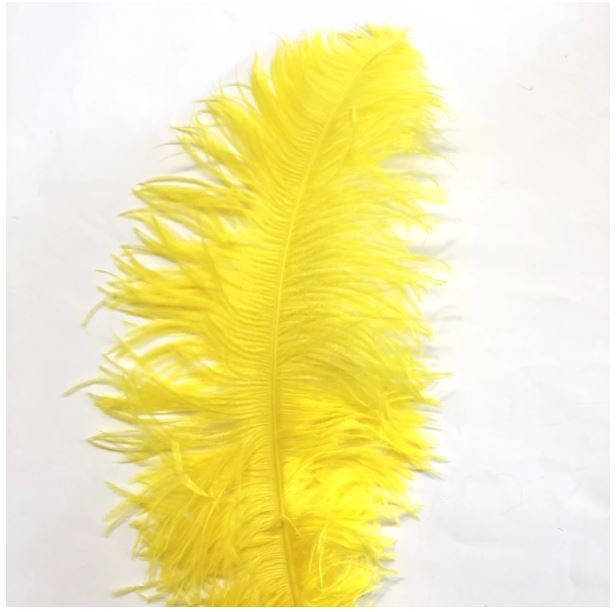 Load image into Gallery viewer, MFC Ostrich Plumes
