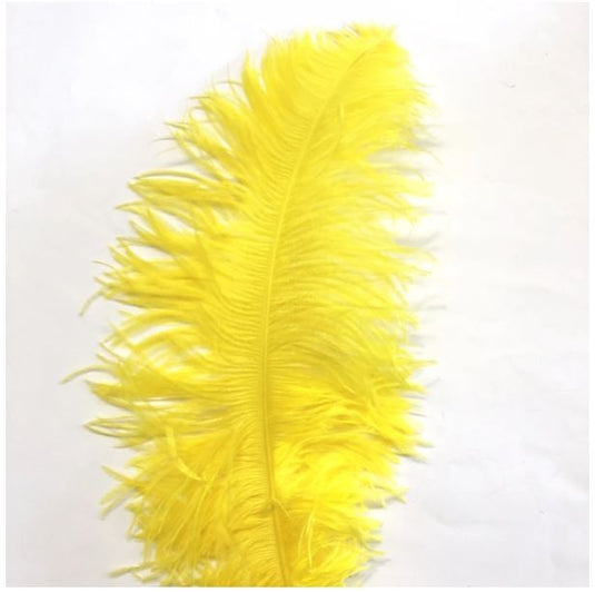 MFC Ostrich Plumes