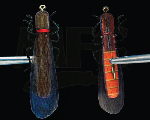 True Salmonfly