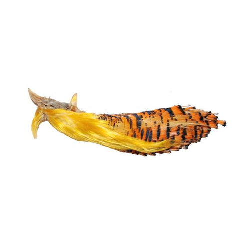 Shor Golden Pheasant Head/crest Grade #2 (ship within Canada only)
